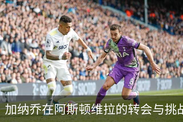 加纳乔在阿斯顿维拉的转会与挑战